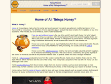 Tablet Screenshot of honeyo.com